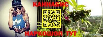 шишки Абакан