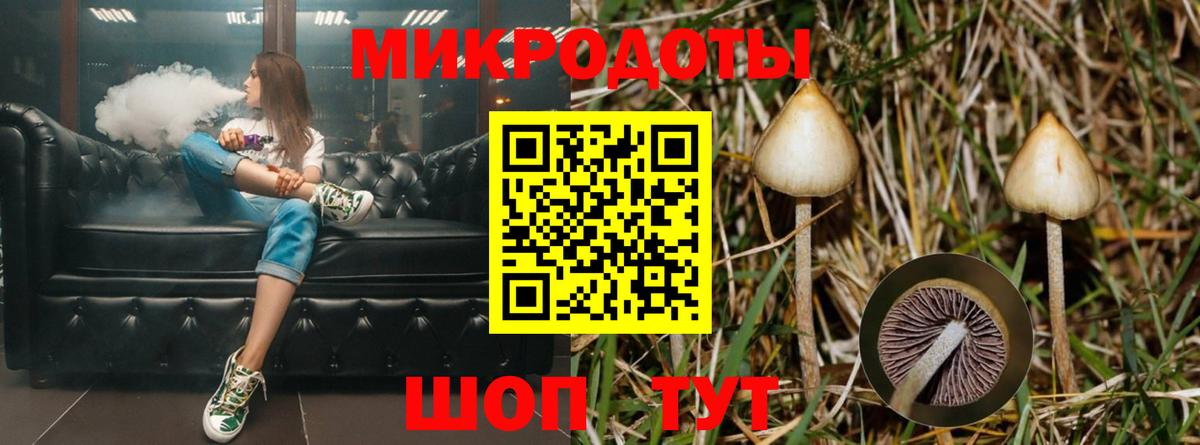сколько стоит  Баксан  Галлюциногенные грибы Psilocybe 