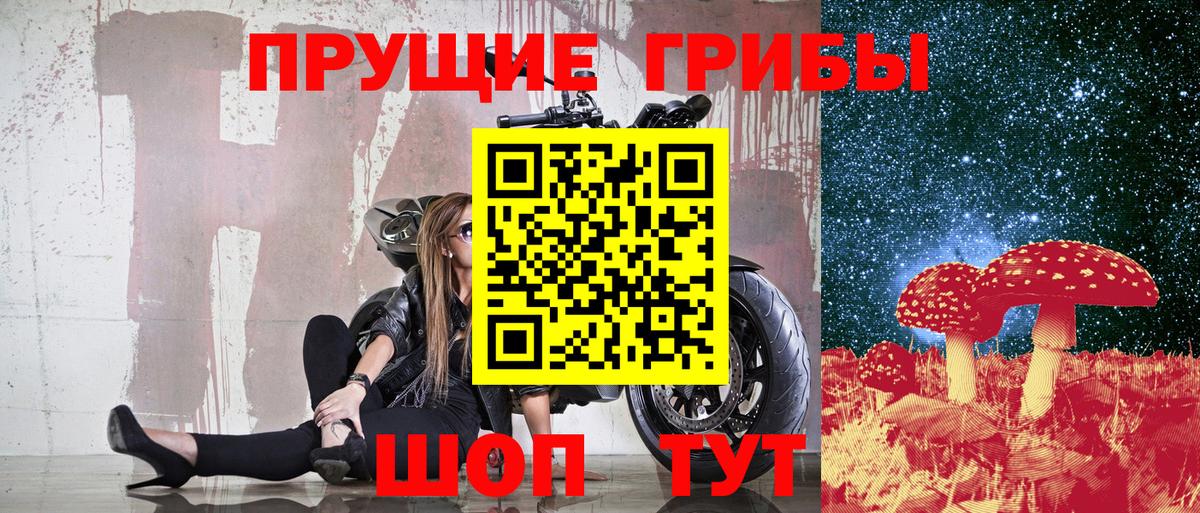 Галлюциногенные грибы Psilocybe  Вход с VPN  Баксан 
