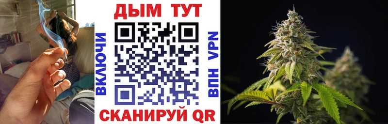 Каннабис планчик Баксан